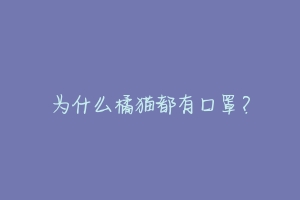 为什么橘猫都有口罩？-动物百科