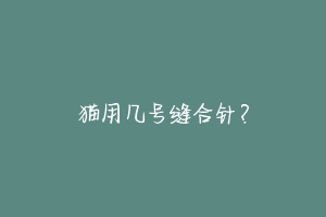 猫用几号缝合针？-动物百科