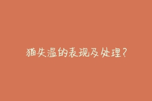 猫失温的表现及处理？-动物百科