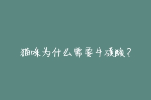 猫咪为什么需要牛磺酸？-动物百科