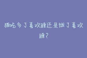 猫吃多了喜欢睡还是饿了喜欢睡？-动物百科