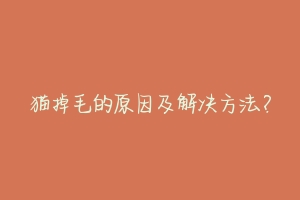 猫掉毛的原因及解决方法？-动物百科