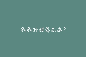 狗狗扑猫怎么办?-动物百科