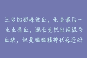 三岁的猫咪便血,先是最后一点点有血,现在竟然出现很多血块,但是猫猫精神状态还好.请问可能是什么原因?-动物百科