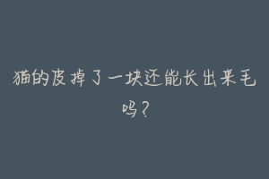 猫的皮掉了一块还能长出来毛吗？-动物百科