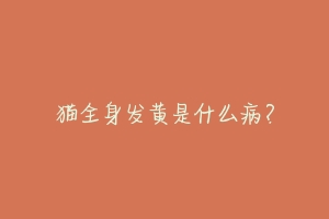 猫全身发黄是什么病？-动物百科