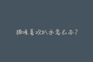 猫咪喜欢扒水怎么办？-动物百科
