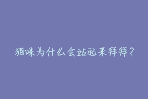 猫咪为什么会站起来拜拜？-动物百科