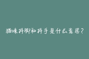 猫咪抖脚和抖手是什么意思？-动物百科