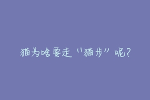 猫为啥要走“猫步”呢?-动物百科