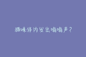 猫咪体内发出嗡嗡声?-动物百科
