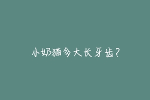 小奶猫多大长牙齿?-动物百科