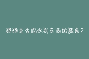 猫猫是否能识别东西的颜色?-动物百科