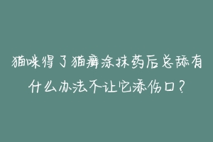 猫咪得了猫癣涂抹药后总舔有什么办法不让它添伤口?-动物百科