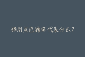 猫用尾巴蹭你代表什么?-动物百科