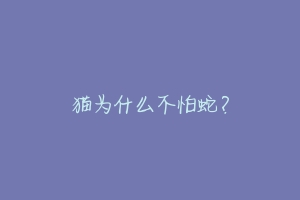 猫为什么不怕蛇?-动物百科