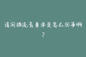 请问猫流青鼻涕是怎么回事啊?-动物百科