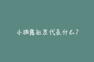 小猫露肚皮代表什么?-动物百科