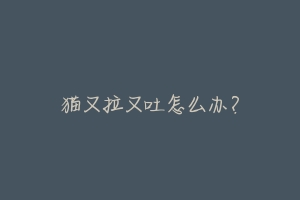猫又拉又吐怎么办?-动物百科