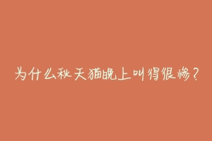 为什么秋天猫晚上叫得很惨?-动物百科