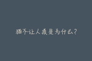 猫不让人摸是为什么?-动物百科