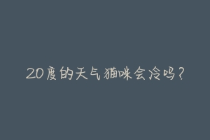 20度的天气猫咪会冷吗?-动物百科