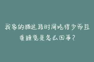 我家的猫这段时间吃得少而且爱睡觉是怎么回事?-动物百科