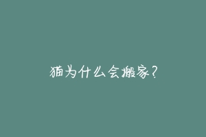 猫为什么会搬家?-动物百科