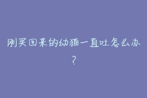 刚买回来的幼猫一直吐怎么办?-动物百科