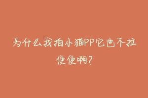 为什么我拍小猫PP它也不拉便便啊?-动物百科