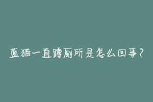 蓝猫一直蹲厕所是怎么回事?-动物百科