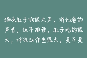 猫咪肚子响很大声,消化道的声音,但不排便,肚子吃的很大,呼吸动作也很大,是不是得了什么病?-动物百科