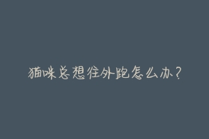 猫咪总想往外跑怎么办?-动物百科