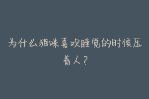为什么猫咪喜欢睡觉的时候压着人?-动物百科