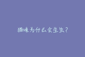 猫咪为什么会生虫？-动物百科
