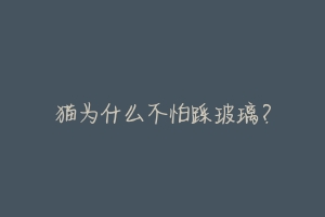 猫为什么不怕踩玻璃?-动物百科