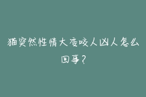 猫突然性情大变咬人凶人怎么回事?-动物百科