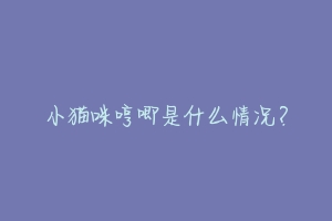 小猫咪哼唧是什么情况?-动物百科