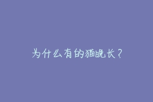 为什么有的猫晚长?-动物百科