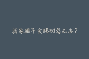 我家猫不会爬树怎么办?-动物百科