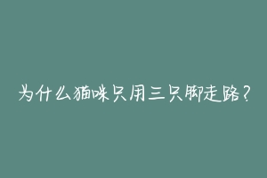 为什么猫咪只用三只脚走路?-动物百科
