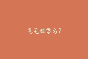 秃毛猫学名?-动物百科