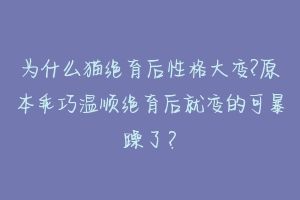 为什么猫绝育后性格大变?原本乖巧温顺绝育后就变的可暴躁了?-动物百科