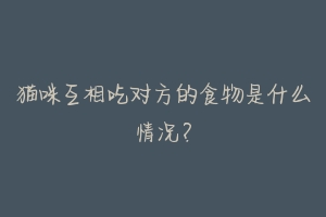 猫咪互相吃对方的食物是什么情况?-动物百科