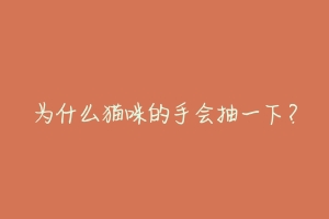 为什么猫咪的手会抽一下?-动物百科