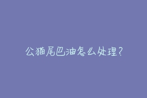 公猫尾巴油怎么处理?-动物百科