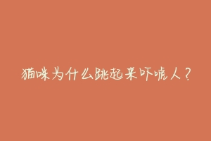 猫咪为什么跳起来吓唬人?-动物百科