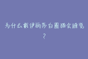 为什么戴伊丽莎白圈猫会睡觉?-动物百科