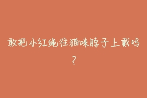 敢把小红绳往猫咪脖子上戴吗?-动物百科