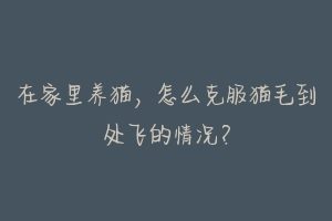 在家里养猫,怎么克服猫毛到处飞的情况?-动物百科